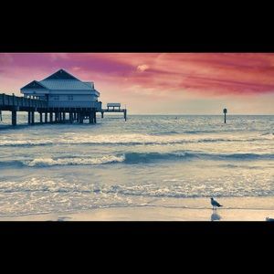 Meet your Posher, Fatima